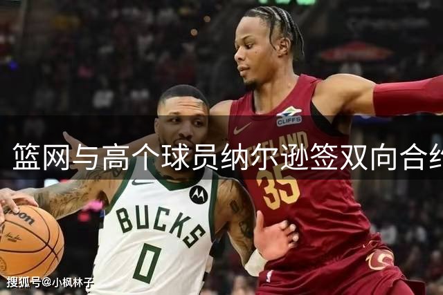篮网与高个球员纳尔逊签双向合约 上季曾获短期合同